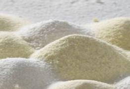 Whey Powder and Whey Derivatives